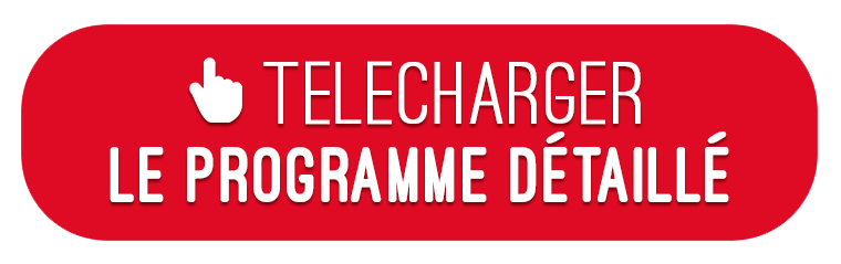 Bouton télécharger